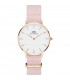 Orologio Daniel Wellington Rose Water DW00100317