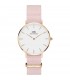 Orologio Daniel Wellington Rose Water DW00100317