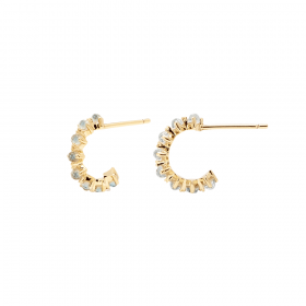 PDPAOLA Orecchini Citric Collection Mint Bird AR01-109-U