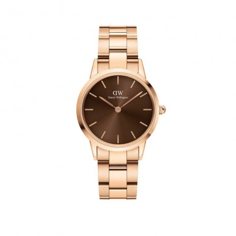 Daniel Wellington Color Dials Elementi Della Natura Orologio Iconic Link Amber Oro Rosa 32 mm DW00100462