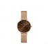 Daniel Wellington Color Dials Orologio Petite Amber Oro Rosa DW00100476