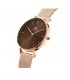 Daniel Wellington Color Dials Orologio Petite Amber Oro Rosa DW00100476