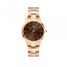Daniel Wellington Color Dials Elementi Della Natura Orologio Iconic Link Amber Oro Rosa 40 mm DW00100460