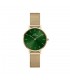 Daniel Wellington Petite Emerald Verde Gold 36mm DW00100481 Orologio