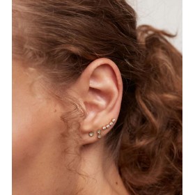 Orecchini Radley Luna E Stelle | Placcato Oro Rosa 18kt | Cane Seduto | Regalo In Confezione Originale