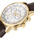 Orologio Philip Watch Caribe Acciaio Gold Pelle Marrone Uomo R82716500001