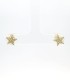 Orecchini Stella Argento 925 Zirconi Bianchi