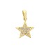 Ciondolo Stella Oro Giallo 9Kt Zirconi Bianchi