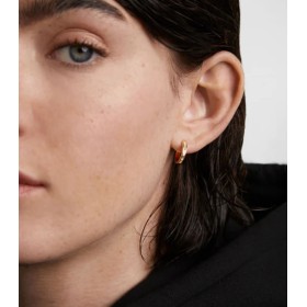 Orecchini A Cerchio PDPAOLA Viena Argento AR01-960-U