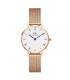 Orologio Daniel Wellington Petite Roman Numerals Melrose