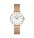 Orologio Daniel Wellington Petite Roman Numerals Melrose