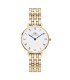 Orologio Daniel Wellington Petite Roman Numerals 5-Link Gold