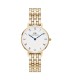 Orologio Daniel Wellington Petite Roman Numerals 5-Link Gold