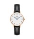 Orologio Daniel Wellington Petite Roman Numerals Sheffield Rose Gold