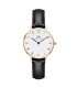 Orologio Daniel Wellington Petite Roman Numerals Sheffield Gold