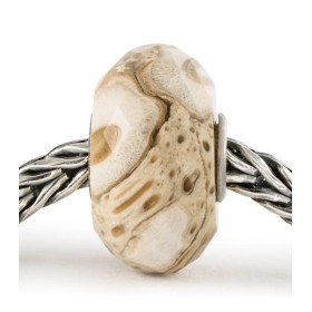 Beads Legno Fossile Trollbeads Giardino Delle Connessioni TSTBE-20042
