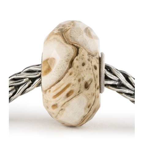 Beads Legno Fossile Trollbeads Giardino Delle Connessioni TSTBE-20042
