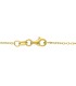 Collana Goccia Oro Giallo 18kt grande chiusura