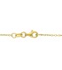 Collana Goccia Oro Giallo 18kt grande chiusura