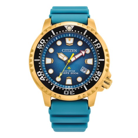 Orologio Citizen Promaster Diver's Automatic BN0162-02X Azzurro