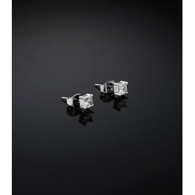 Orecchini Lobo Chiara Ferragni Classic Acciaio