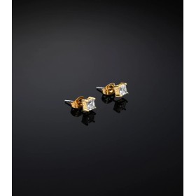 Orecchini Lobo Chiara Ferragni Classic Acciaio Dorato