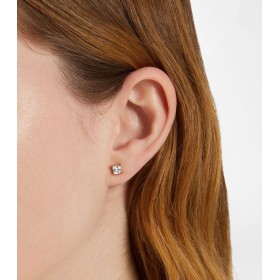 Orecchini Lobo Chiara Ferragni Classic Acciaio Dorato