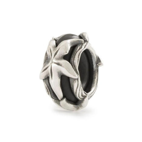 Stop Trollbeads Essenza Della Vita Stella Marina