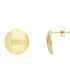 Orecchini A Lobo Disco Oro Giallo 9kt