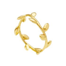 Anello di Laurea Oro Giallo 18kt Fedina Alloro