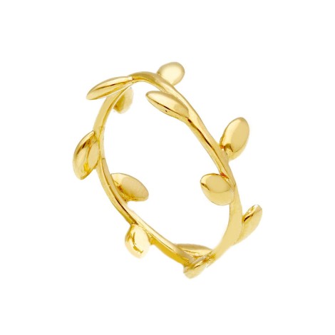 Anello di Laurea Oro Giallo 18kt Fedina Alloro