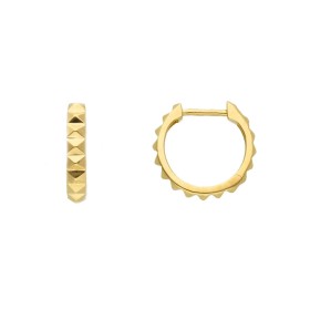 Orecchini Cerchietto Oro Giallo 9kt Borchie