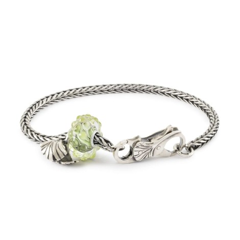 Bracciale Trollbeads Start Eterna Giovinezza TZZIT-01989