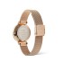 Orologio Daniel Wellington Petite Lune Melrose