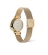 Orologio Daniel Wellington Petite Lune Evergold
