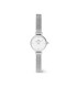 Orologio Daniel Wellington Petite Mini Sterling