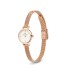 Orologio Daniel Wellington Petite Mini Melrose