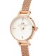 Orologio Daniel Wellington Petite Mini Melrose