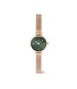 Orologio Daniel Wellington Petite Mini Emerald Melrose