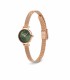 Orologio Daniel Wellington Petite Mini Emerald Melrose
