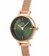 Orologio Daniel Wellington Petite Mini Emerald Melrose