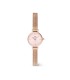 Orologio Daniel Wellington Petite Mini Blush Melrose