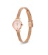 Orologio Daniel Wellington Petite Mini Blush Melrose