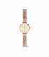 Orologio Daniel Wellington Petite Mini Champagne Melrose