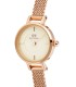 Orologio Daniel Wellington Petite Mini Champagne Melrose