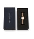 Orologio Daniel Wellington Petite Mini Champagne Melrose