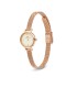 Orologio Daniel Wellington Petite Mini Champagne Melrose