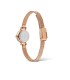 Orologio Daniel Wellington Petite Mini Champagne Melrose