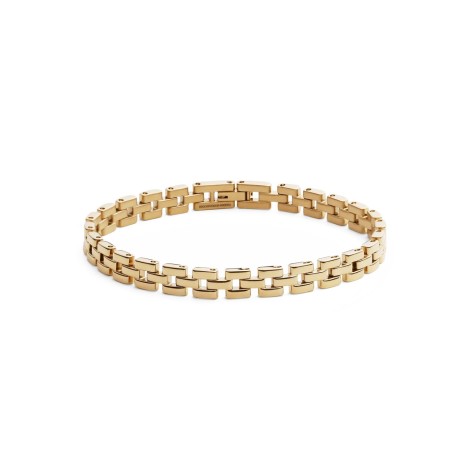 Bracciale Daniel Wellington Link Gold