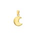 Ciondolo Luna Oro Giallo 9Kt Bombata